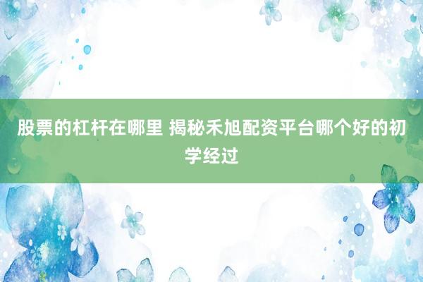 股票的杠杆在哪里 揭秘禾旭配资平台哪个好的初学经过