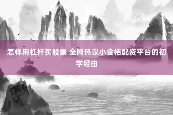怎样用杠杆买股票 全网热议小金桔配资平台的初学经由